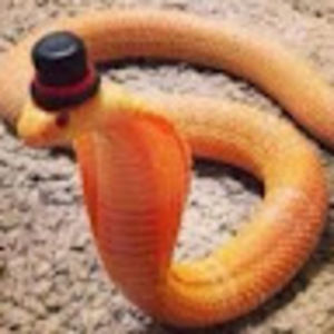 Meet your Posher, Skylar